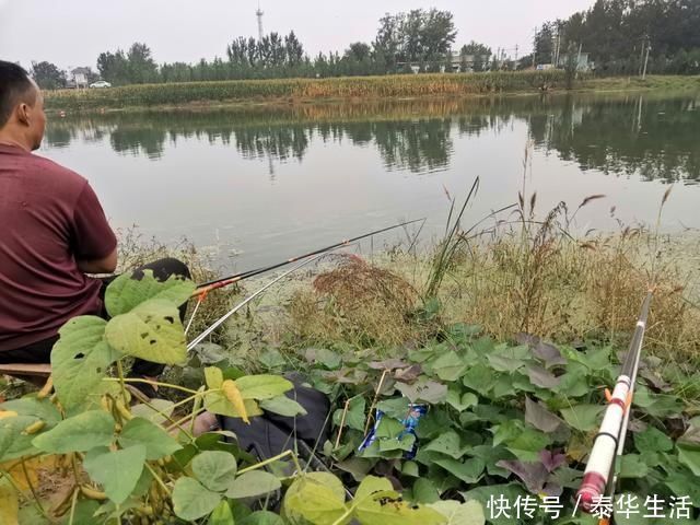 水体|钓鱼影响鱼情的重要因素,哪个排第一位,水温、溶氧量谁更厉害