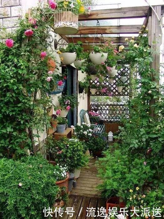 香草类|立夏后养花,别偷懒做好这3件事,长的快不生虫!