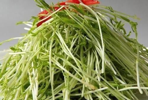 松柳苗|小孩不想输在起跑线,多吃以下食物,补钙明目长智力