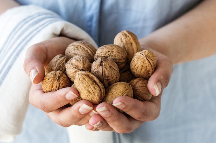 防癌|哈佛大学研究:吃核桃真的有助于长寿!告诉你具体吃多少,怎么吃