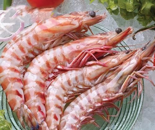  大虾|竹节虾吃法是什么？