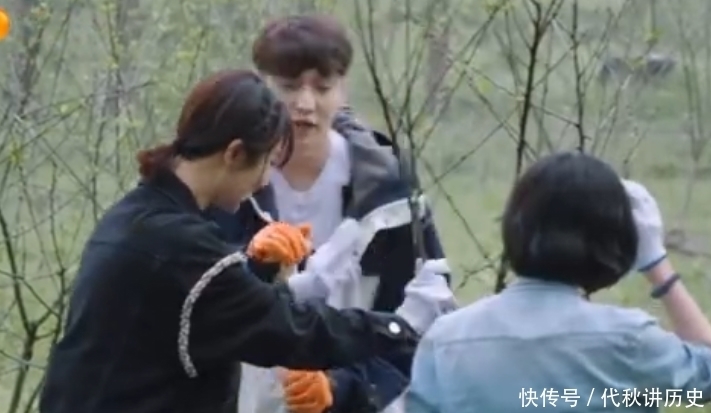 杨紫|张艺兴节目硬核辟谣,一见杨紫就喊“绯闻女友”,差点把她干回家