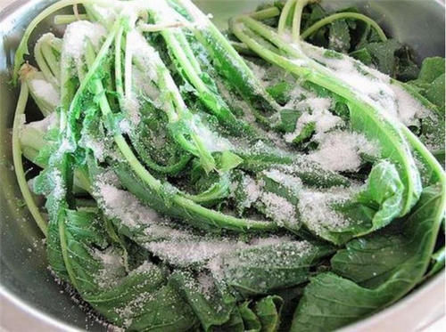 膳食纤维|这食物大家只吃果肉,但叶子营养更丰富,如今正当时,可别错过了