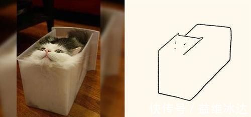 |“灵魂画手”笔下的宠物,抽象又搞笑的画风,完美抓住了“灵魂”