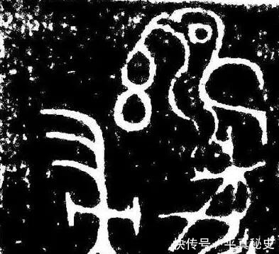 商代为什么以鸟为图腾,而不是其它动物呢