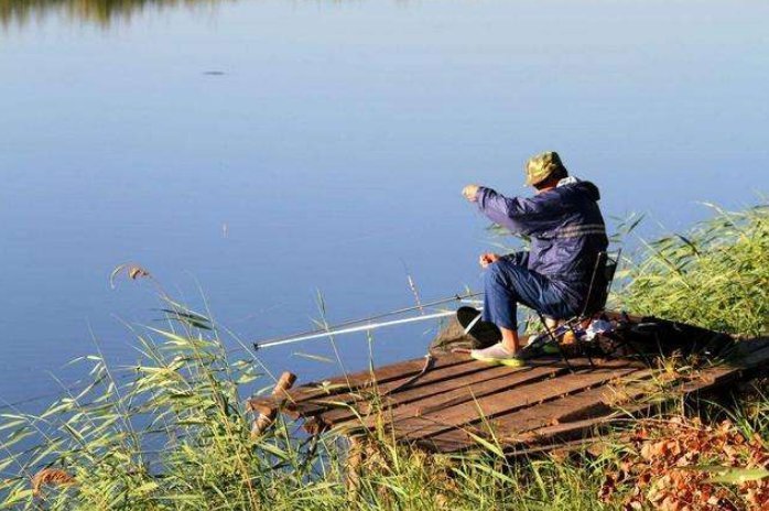 饵料|野钓收获不理想?那是饵料使用错误,这才是野钓用饵的正确方法