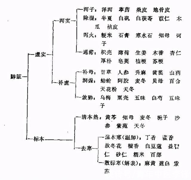  急食苦以|为什么说张元素的“药性理论”对后世影响颇深?
