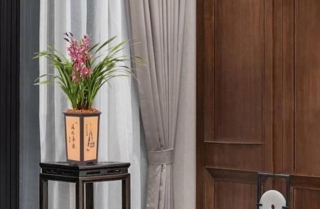 它被誉为“香花之王”，顶级红素，兰香四溢，花开后又仙又美