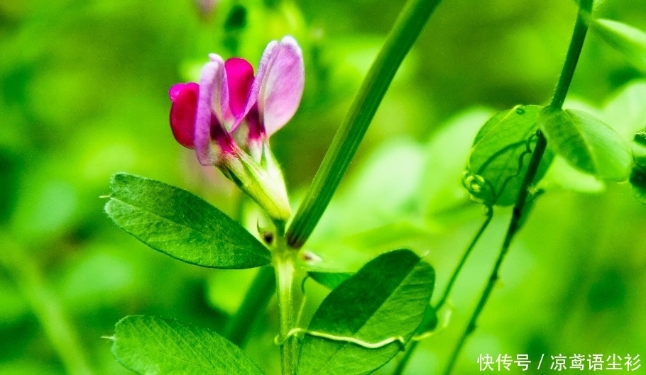 5月起 走出低谷 桃花再开 硕果累累 3生肖事业高就 爱情甜人 全网搜 5月起 走出低谷 桃花再开 硕果累累 3生肖事业高就 爱情甜人 全网搜