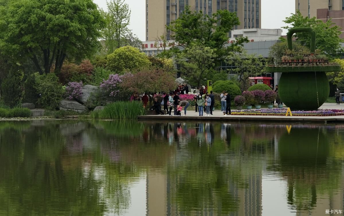 兴庆宫公园|植物园姹紫嫣红是老人聚会的好地方【严建设】