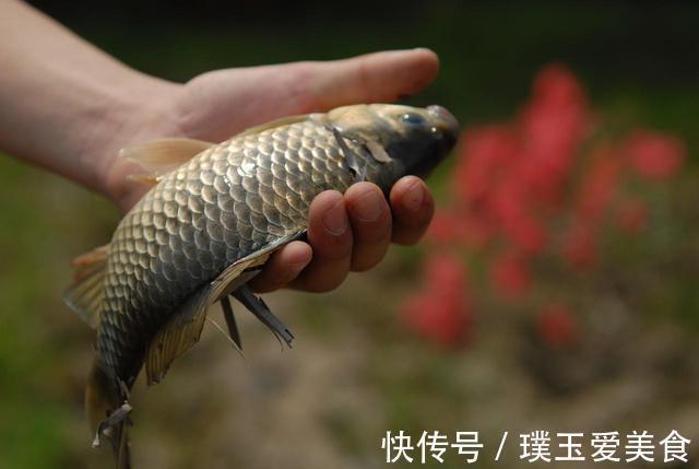 钓鲫鱼时出现两大特征，立即改钓底为钓浮，新手爆护也不难