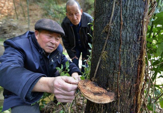 根除|和慢性肾炎的斗争,竟然离奇转阴,老中医带你了解如何根除