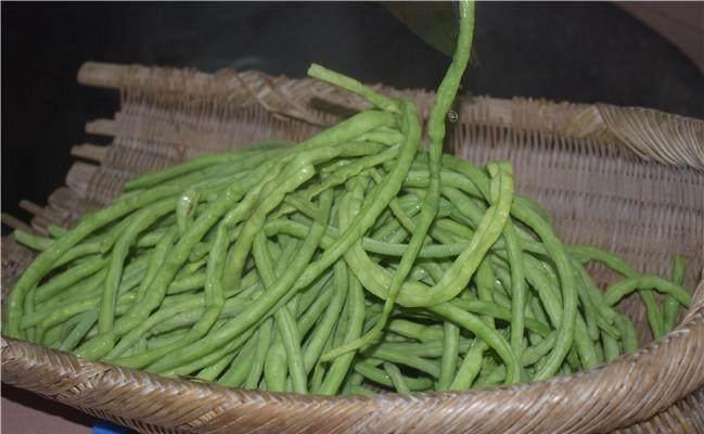 保鲜|农村大妈把几十斤豆角这样做，保鲜三年稀罕土物比牛羊肉珍贵