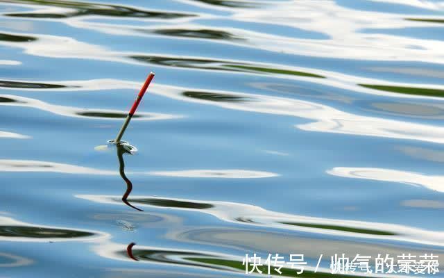 春钓不要犯这三个错误,多数时候不会空军