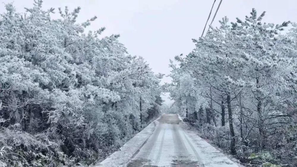 闽北雪景美图合集来啦～真正银装素裹，宛若琉璃世界！