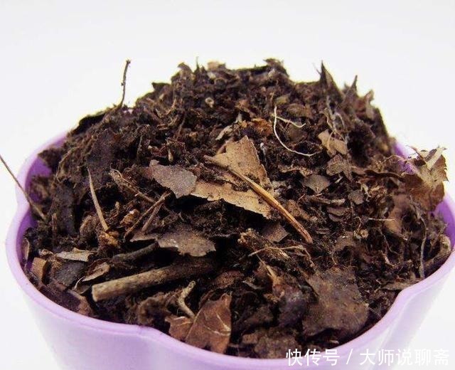 腐叶土|4种土，宁可扔了也别养花，不然累死也养不好！