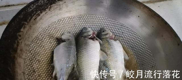 野生鲫鱼汤这么烧,汤鲜色白没有刺,宝妈们快收藏好!