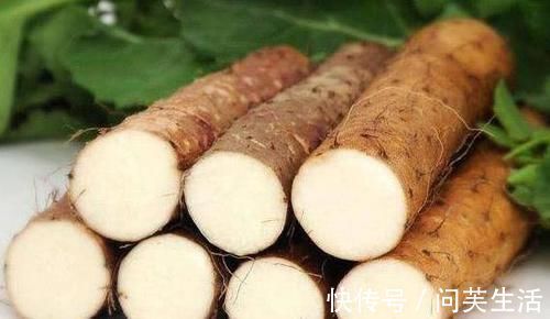 食物|女性养生推荐常吃三种食物，滋补身体，好处多多