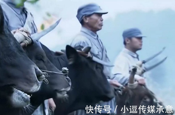撒子呦|“抗日神剧”真会玩,战场上抓猪赶牛,一招“火牛阵”团灭敌人