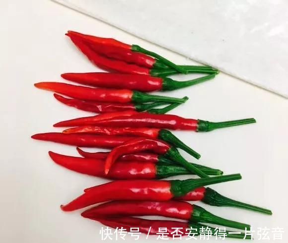茼蒿|阳台就是大菜园，这6种蔬菜都能种，一年不用买菜，全家都够吃