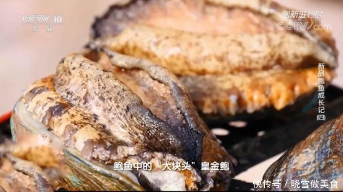 盛宴|溏心皇金鲍:二十分钟享受一场绝顶食材的味蕾盛宴!