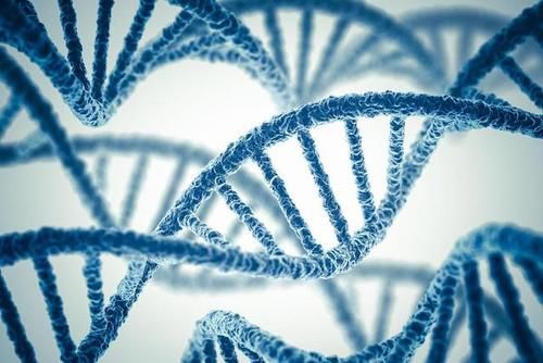 结直肠癌|为什么有的人不会患癌？其实原因很简单，他们大多都有4个共同点