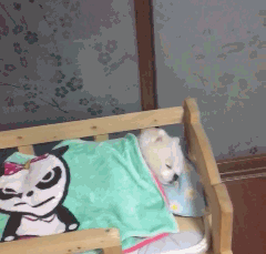 |搞笑GIF:最后一下的后坐力太大了,所以我下来了!