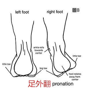 足内翻或足外翻到底是什么 快资讯