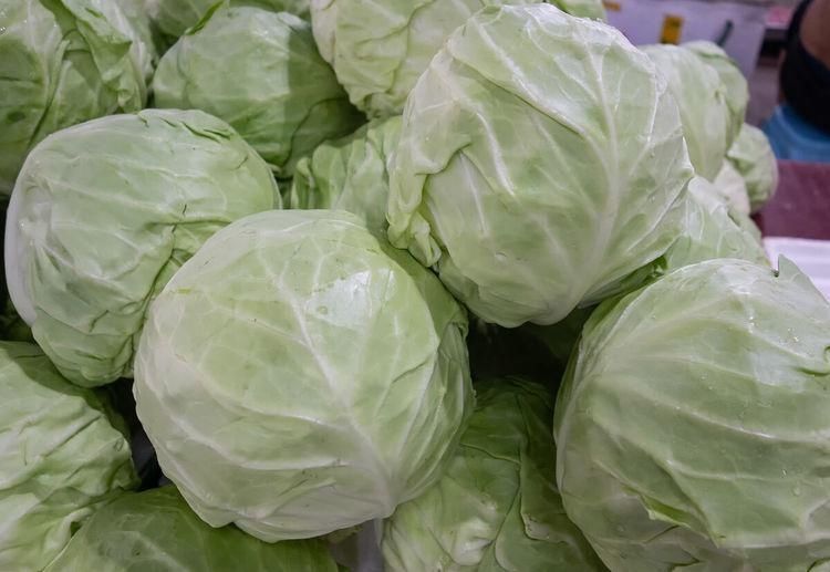 买包菜的时|买包菜,选紧实的还是松散的菜农教你4招,挑的新鲜脆嫩口感好