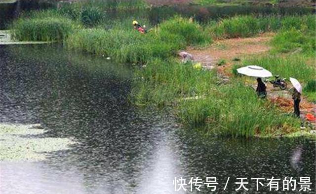 饵料|夏季钓鲫鱼的基本思路,最常见的鲫鱼,在夏季反而是最难钓的