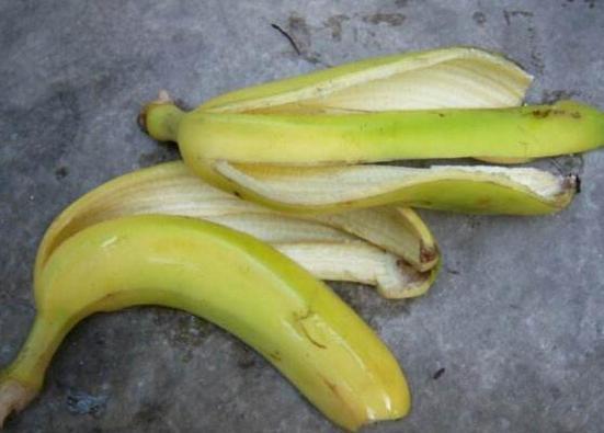 养殖花草小妙招用香蕉皮盆栽植物，分分钟搞定肥水、清洁问题