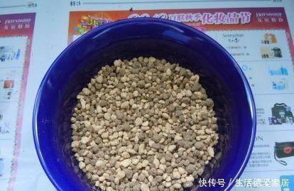 花盆|花盆里加点这个，不烂根不黄叶，轻松养满盆