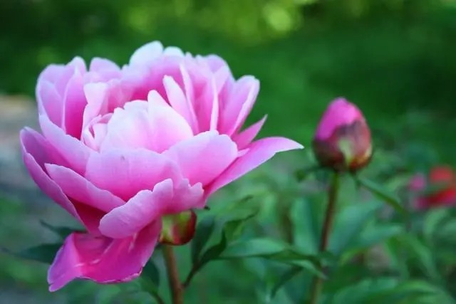 品德|好的人生，是从养成这三个好习惯开始