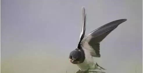  诗词|秋分时节, 遇见最美的秋分诗词！