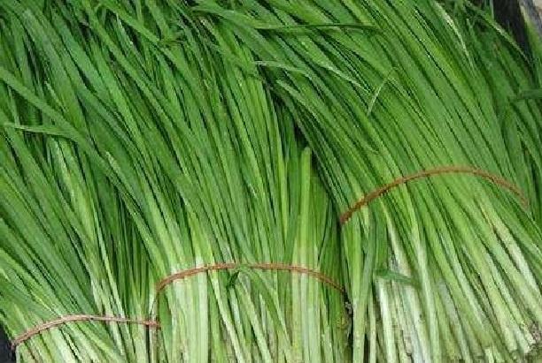 钓鱼除了商品饵料外,自制饵料也不错,这些配方送给你,请记牢