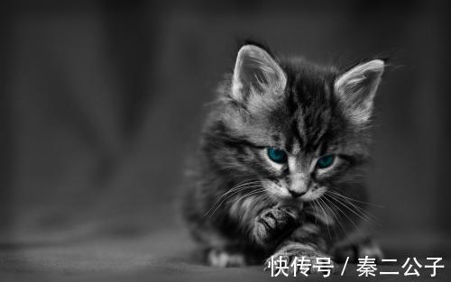 |幽默笑话:年终奖终于发了下来,看着手里的钱,果断到银行存起来