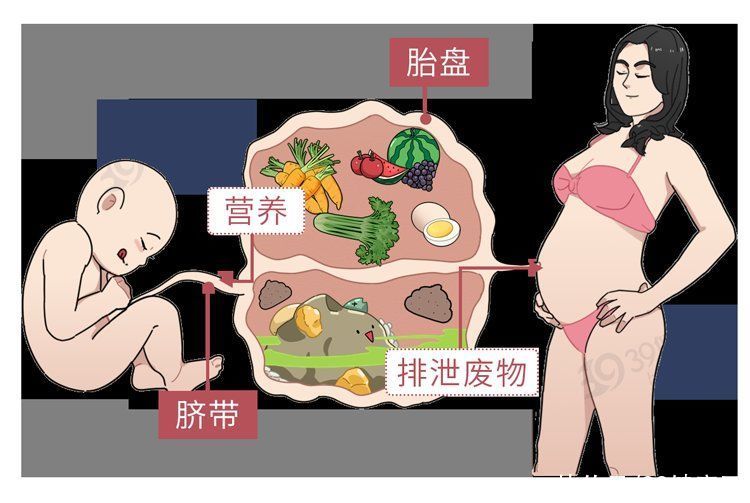 产业链|“胎盘”产业链曝光，价格不菲！食用人类胎盘，养生还是作死？