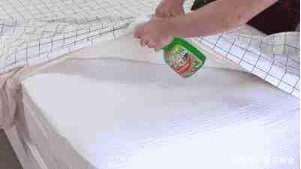 异位性皮炎|床铺螨虫多,家里孩子常过敏,教你一个土办法,螨虫连根拔起