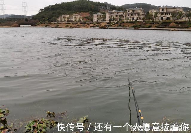 野钓|降温天野钓鲫鱼,小伙伴一天两次空军,却还笑别人太傻