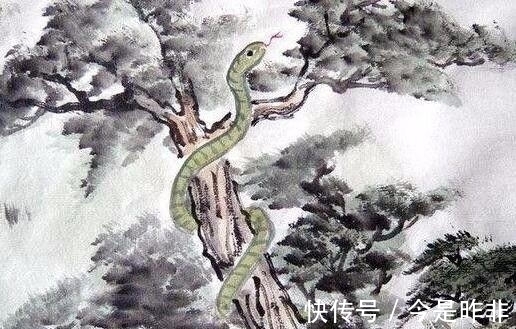 金牛座|未来一周,走横财大运的星座