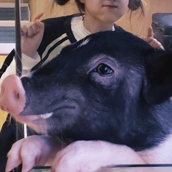 洗脸时的“4大禁忌”，女生千万别犯，不然“毁容”了可别哭鼻子