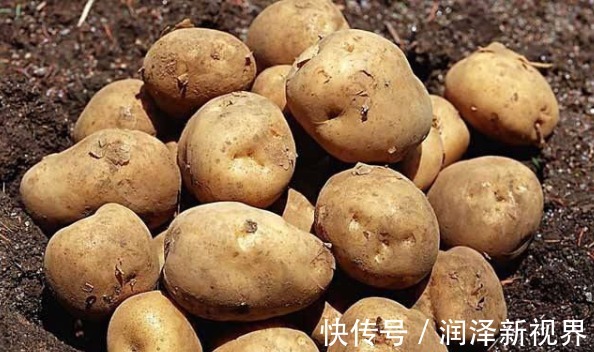 视力|土豆和此物一起炒，三天一盘，排毒素垃圾，视力好了，子宫更干净