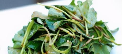  五味子|每天坚持吃3种食物，排毒养颜、延缓衰老，身体棒棒哒！