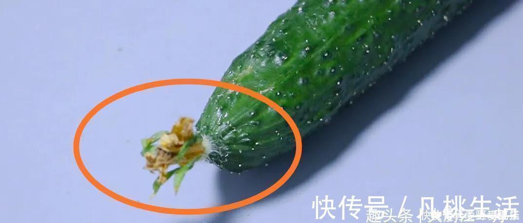 江一舟|黄瓜打不打激素？看一眼这个“小机关”就知道，包你买不到催熟