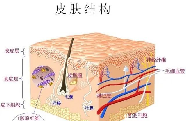 水光针|“魔法逆龄”水光针无证注射你上当了吗？看看这个有证水光？