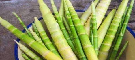 女性|冬天来了，女性不妨多吃3种食物，减肥瘦身，预防肥胖，早吃早好