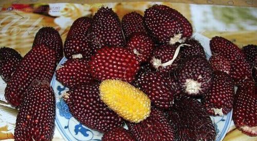 女性担心老太快，常吃几种食物，排毒养颜，营养又健康