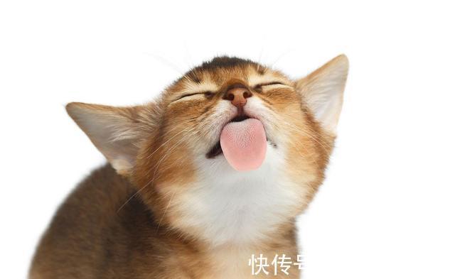 |幽默笑话:女友第一次来家里,就暴露了吃货的一面!