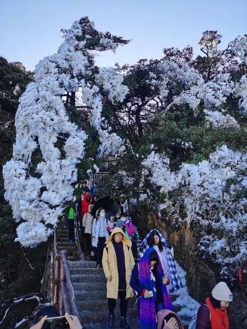 盛世|2020，一睹莽山盛世颜｜莽山五指峰首场雾凇如期而至