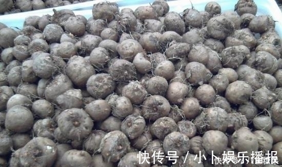 人参皂甙|中老年人想要防止糖尿病吗？这四种健康食物能降血糖和活血